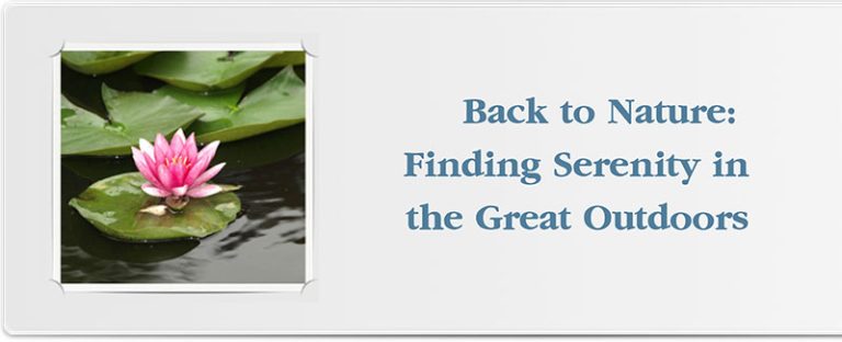 Back to Nature: Finding Serenity in the Great Outdoors