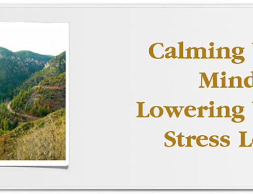 Calming Your Mind and Lowering Your Stress Levels