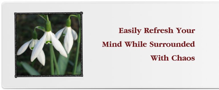Easily Refresh Your Mind While Surrounded With Chaos